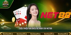 Giới thiệu vài điều về nhà cái NET88