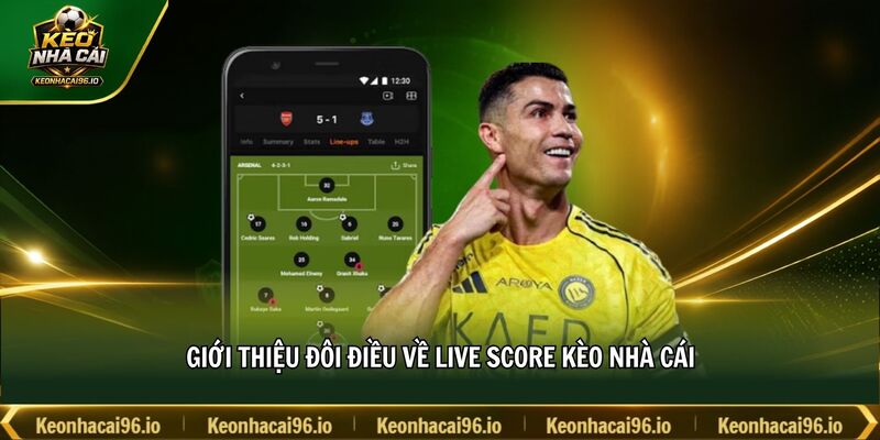 Giới thiệu đôi điều về Live Score kèo nhà cái