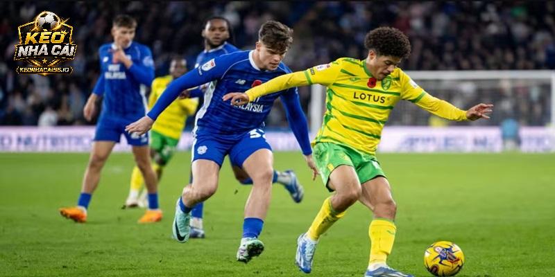 Nhận định Cardiff City vs Norwich City Nhận định Cardiff City vs Norwich City