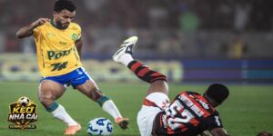 Nhận định Flamengo vs Mirassol