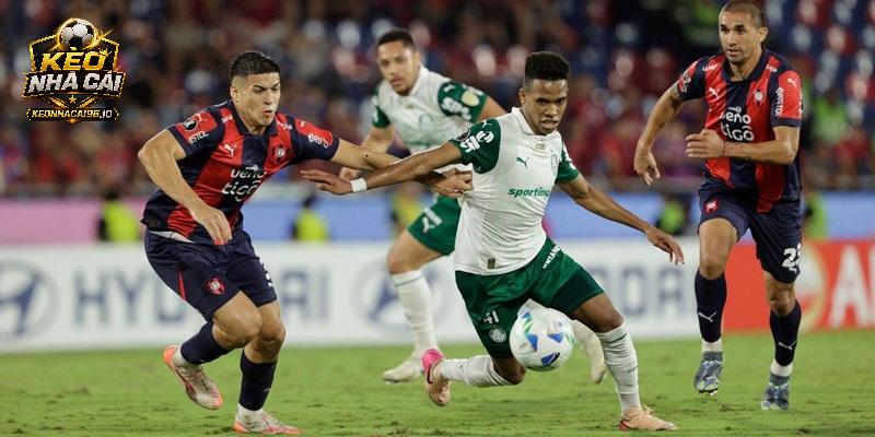 Nhận định Palmeiras vs Cerro Porteno