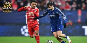 Nhận định Brest vs PSG